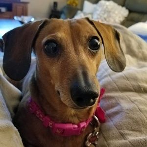 Meet your Posher, Jean